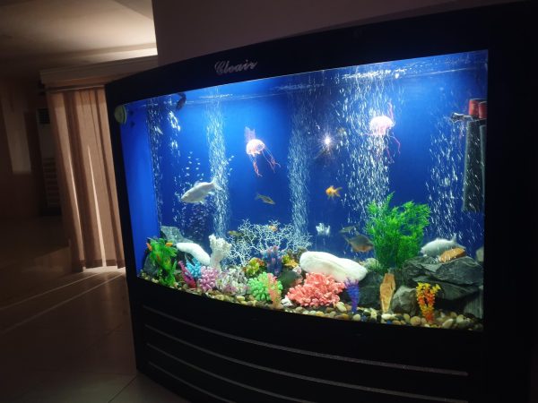 IMG-20241209-WA0089